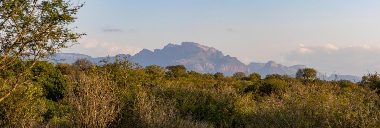 Villa Tall Horse - Solar Powered Hoedspruit Eksteriør bilde